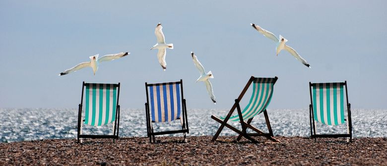 Liegestühle und Möwen am Strand Liegestühle und Möwen am Strand